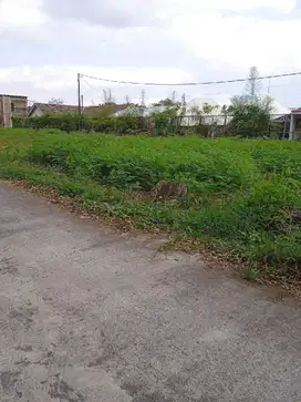 Tanah Jogja di Wedomartani Dekat SD Model – Lingkungan Nyaman