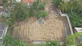 Dijual Tanah Murah di Desa Dangdeur, Jayanti, Tangerang - Banten.