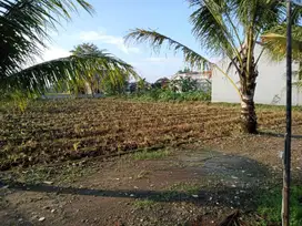 Peluang Investasi! Kavling Sakura Dramaga Mulai 1,8 Juta