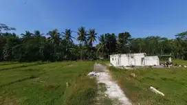 Tanah Murah Jogja Dekat RSUD Ki Ageng Serang