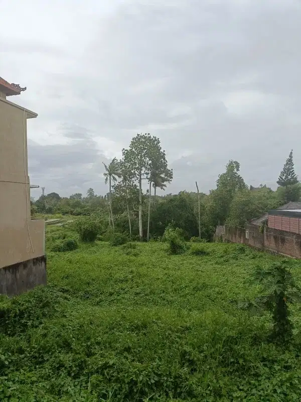 Dijual tanah di Canggu Padang Tawang babakan badung
