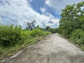 Tanah Bantul Dekat Kampus Alma Ata Area Sewon