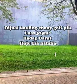 Dijual Kavling Langka Ebony Golf Pik