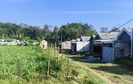 Tanah 100 Juta Kawasan Asri Kedungrejo Cocok Huni atau tabungan