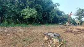 Kavling Siap Bangun di Cileungsi, Legalitas SHM & Girik