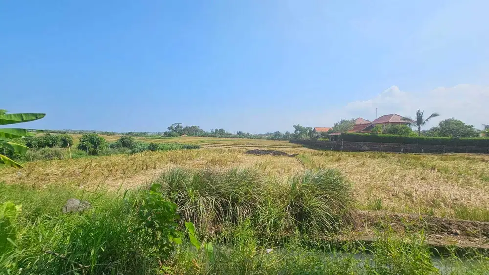 tanah komersil lokasi tibu biu pasut tabanan Lingkungan villa