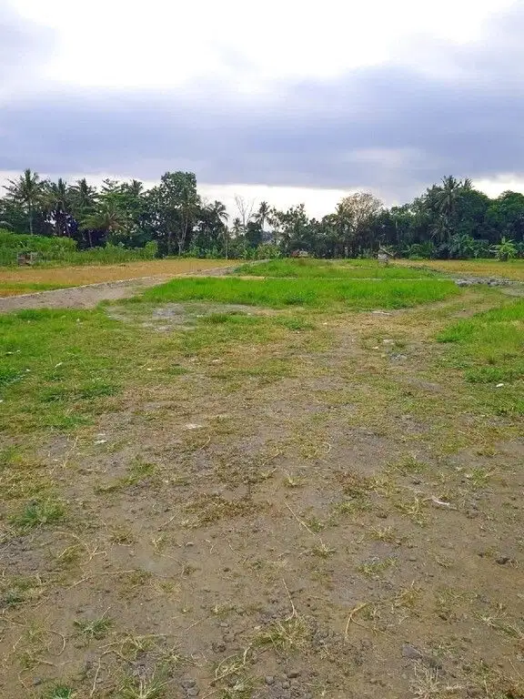 7 menit Kampus UII Yogyakarta, Tanah Murah di Sleman, Legalitas SHM