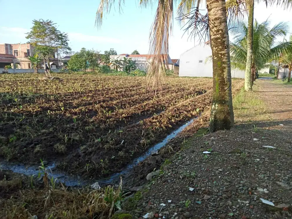 Kavling Premium di Margajaya, Cuma Tersisa 2 Unit