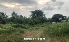 Jual Tanah Di Mekar Jaya Curug - Tangerang, Banten