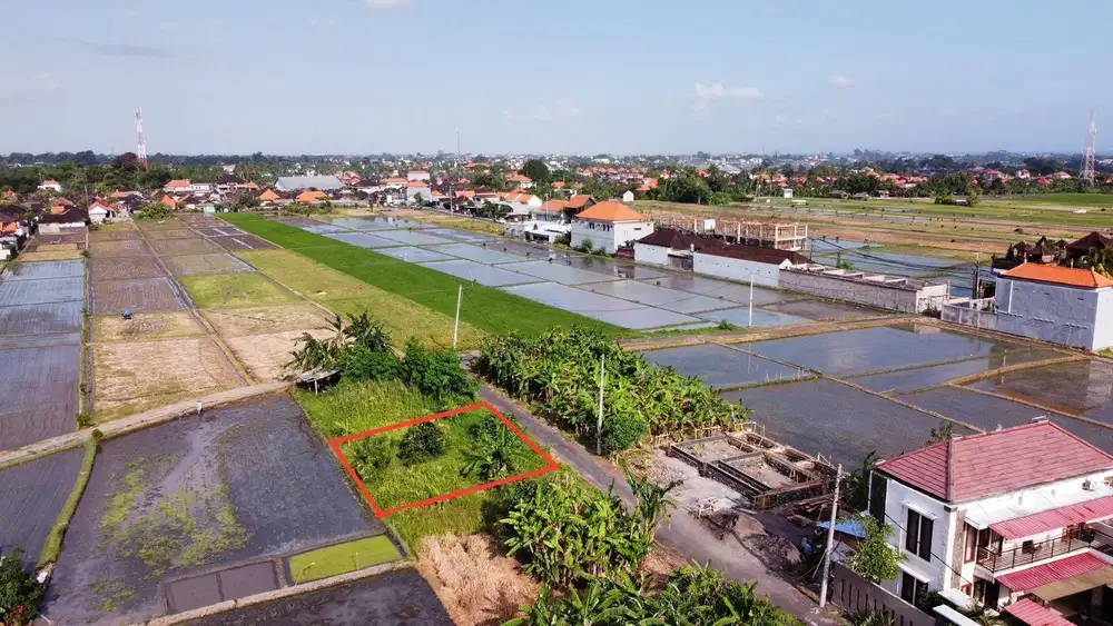 Tanah Kedungu View Sawah
