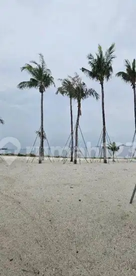 Dijual kavling khusus sultan lokasi peninsula pik2