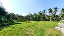 Dekat Kopi Ampirono dan Exit Toll Sentolo Kavling SHMP