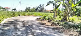 TANAH PEKARANGAN VIEW SAWAH 339M2 DKT JL RAYA PARANGTRITIS.JK13444