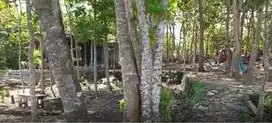SANGAT MENGUNTUNGKAN BELI TANAH VIEW KOTA COCOK U/ USAHA AREA PAJANGAN. JK10512