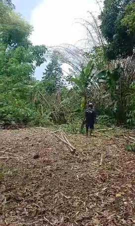 DIJUAL TANAH PEKARANGAN BARAT KAMPUS UNESA MLATI SLEMAN, JK11529