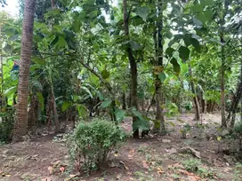 DIJUAL TANAH LUAS COCOK U/ VILLA ATAU HUNIAN DI AREA PAJANGAN BANTUL. JK10546