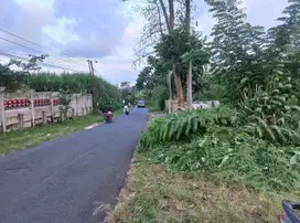Tanah Strategis Dekat Alun-Alun Hanya 65 Jutaan