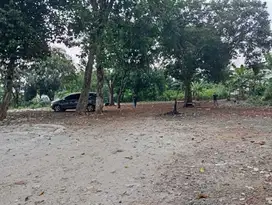 2 Menit Taman Permata Pamulang Tanah Kavling Free SHM