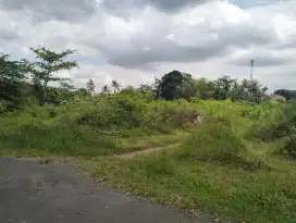 Disewakan tanah murah luas di jl Kaliurang km 12 mrisen Sardonoharjo