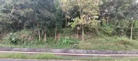 TANAH MURAH VIEW SAWAH COCOK U/ INVES AREA WISATA & KULINER KALIBAWANG. JK10524