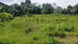 Di Jual Tanah di Serdang kulon Panongan Tangerang Banten