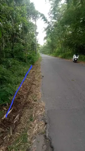 COCOK UNTUK INVESTASI CERDAS TANAH MURAH DIKAWASAN WISATA MERAPI PAKEM. JK10376