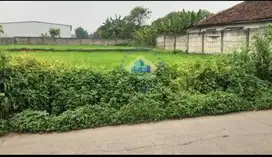 Di Jual Tanah di Jln Raya Curug Mekarjaya Tangerang