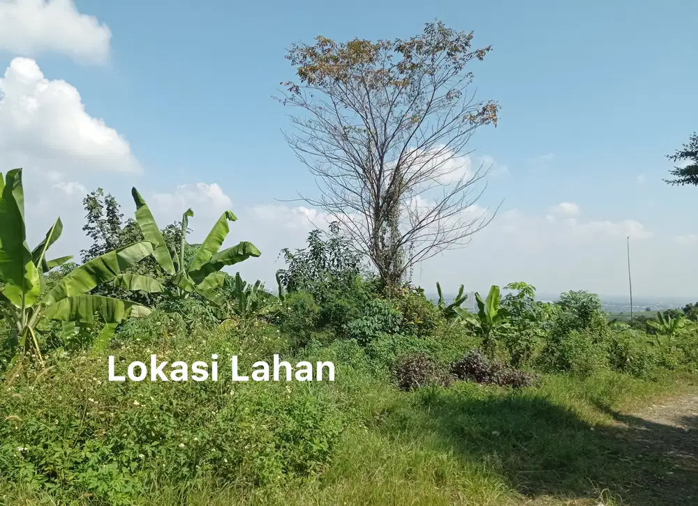 Dijual tanah kavling di  Hambalang sentul bogor jawa barat