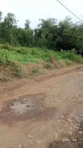 Tanah di jual di jagabaya parung panjang