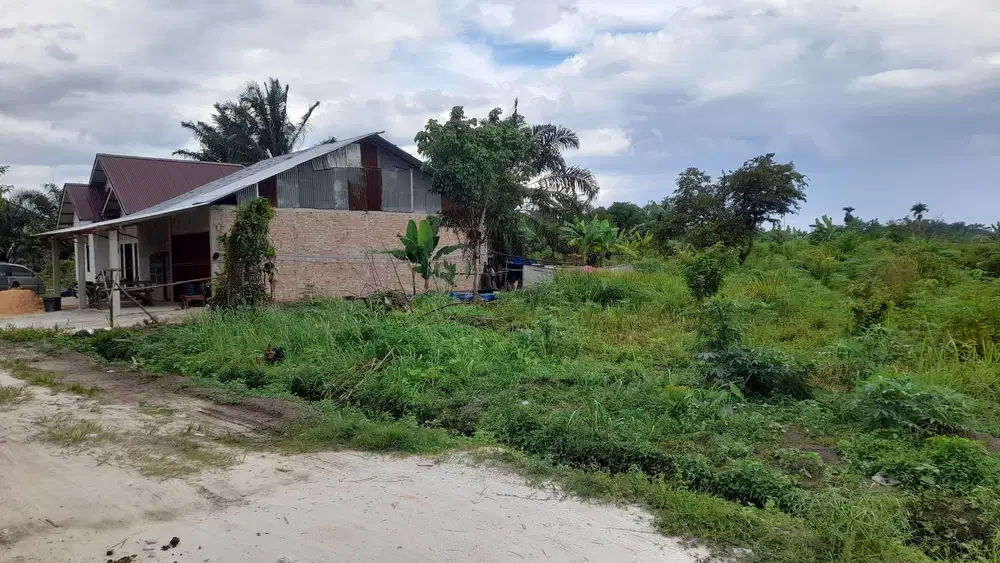 Tanah murah jalan Taman Karya Panam ujung 2262m2 SHM