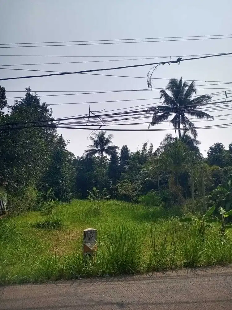 DIJUAL TANAH MURAH DIARCO HARGA TERJANGKAU 1 JUTAAN DKT JALUR UTAMA