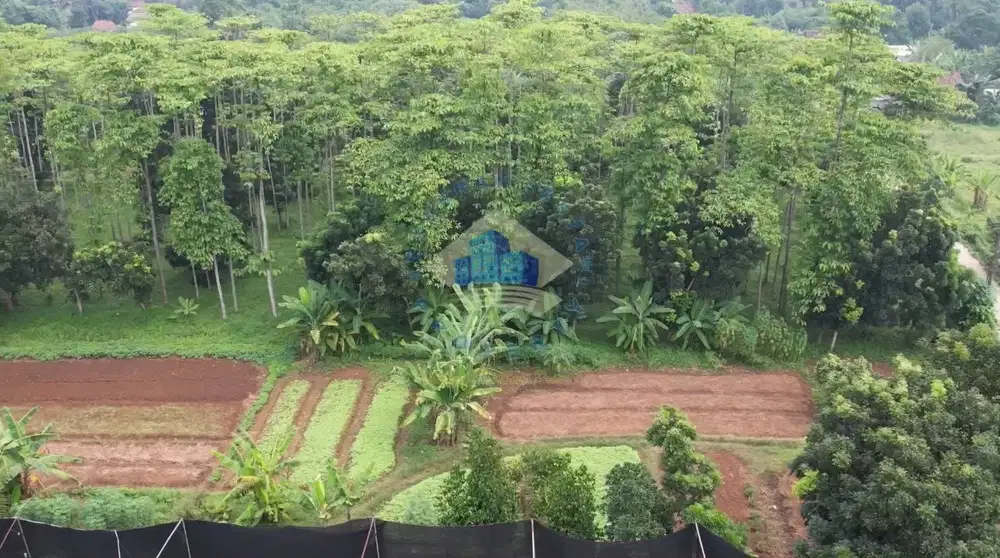 Jual Tanah Di Desa Mekar Wangi, Cisauk - Tangerang