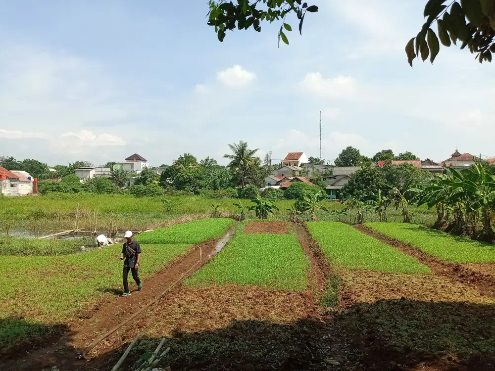 Tanah Bogor Murah Promo Perdana Dekat Stasiun Cilebut, Dapatkan Untung