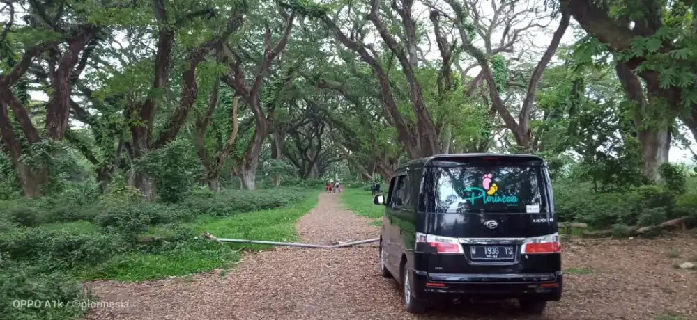 Transportasi pendakian