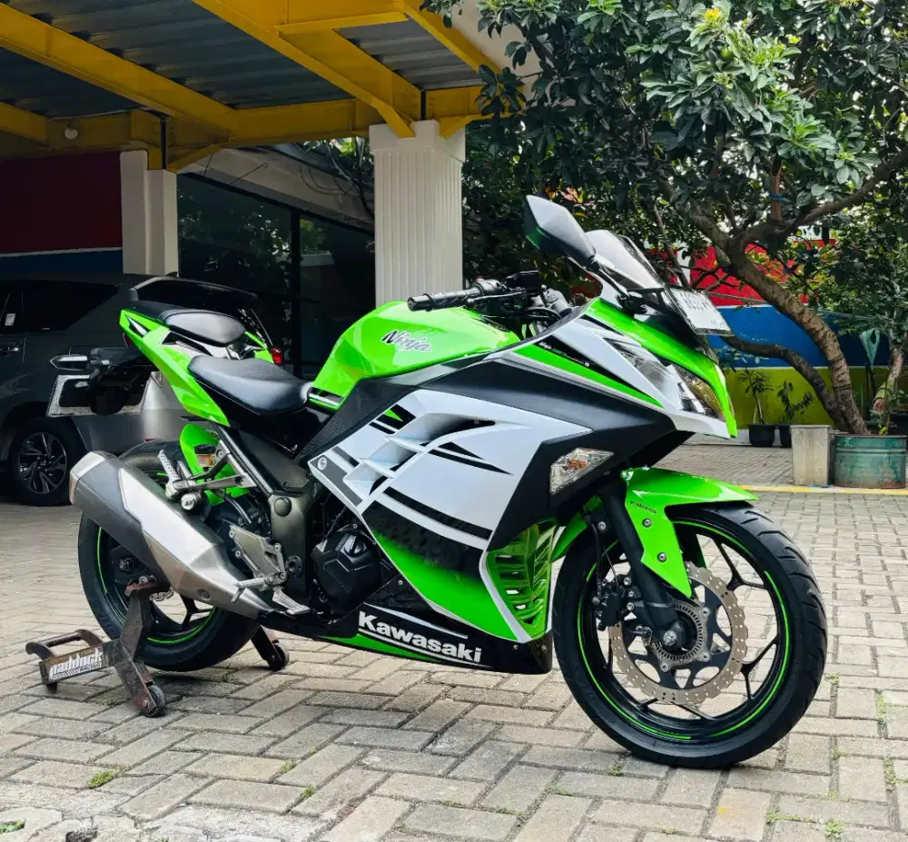 Kawasaki ninja250abs se 2014 pjk on
