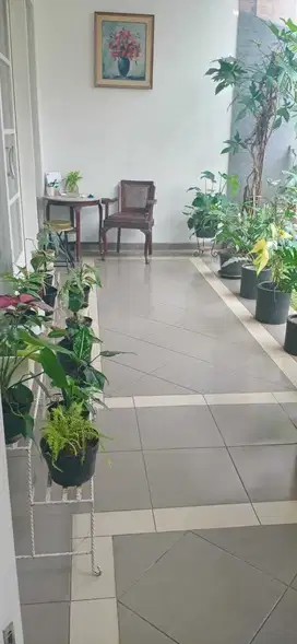 Rumah 2lt SHM cocok utk usahaCafe Klinik kantor Cipete Jak-sel LH 048