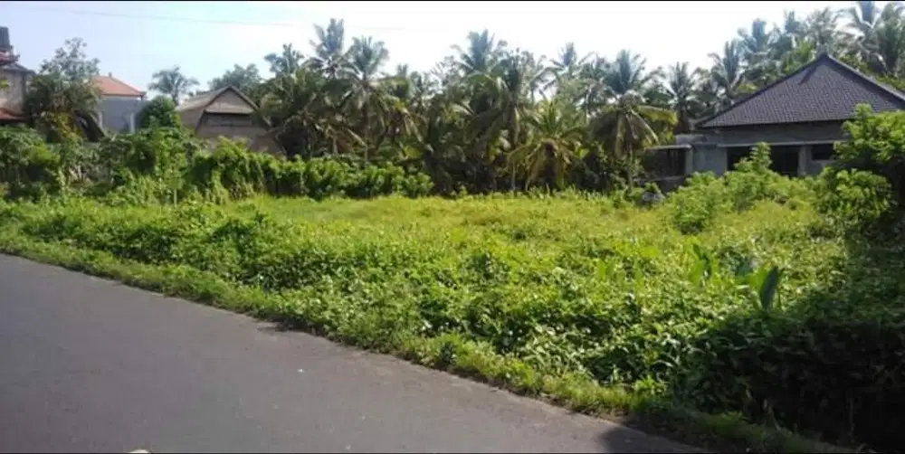Dijual Tanah di Jalan Utama Tirta Tawar Ubud Bali