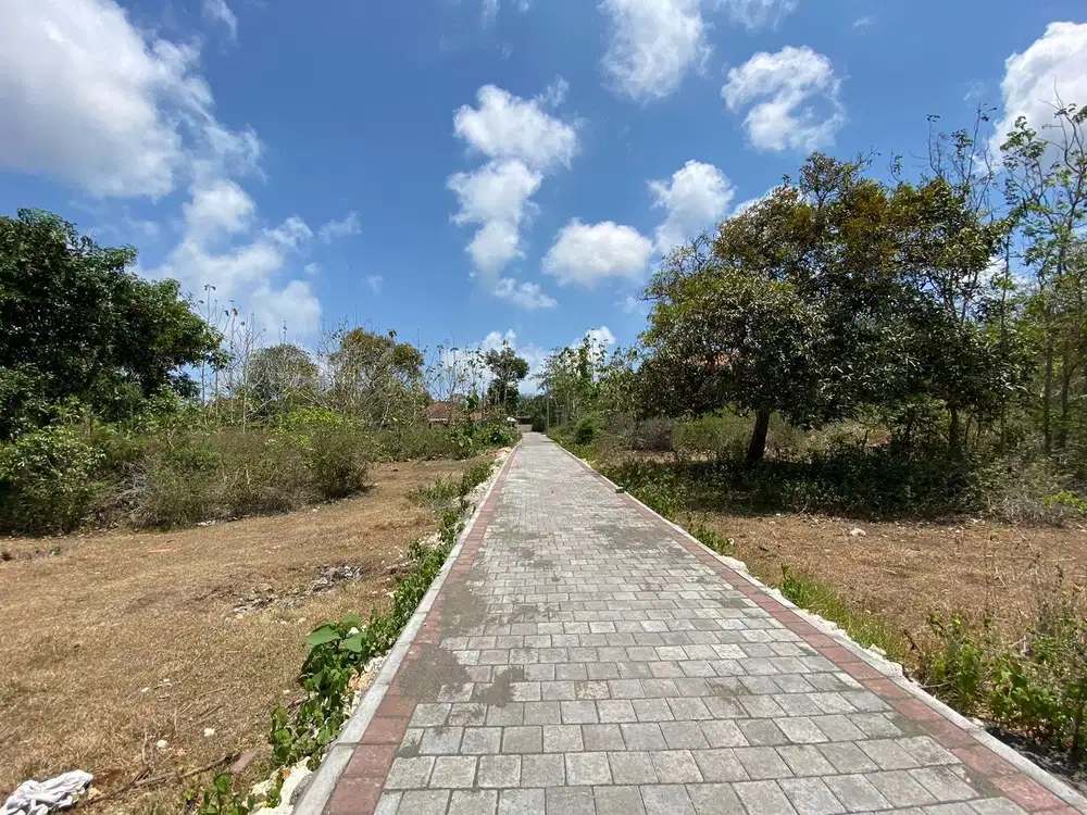 Tanah Murah Jl Pura Lempuyang Kutuh