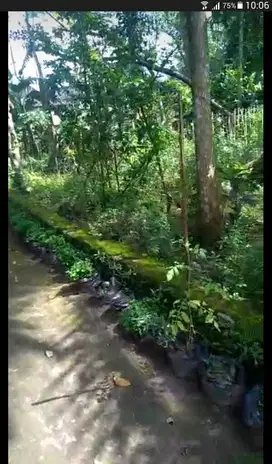TANAH DI DEKAT KAWASAN WISATA KALIURANG DIJUAL MURAH HARGA DIBAWAH 1 JT/M J10536