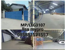 LELANG PABRIK CIKANDE BAGUS MURAH