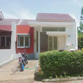 Jual Rumah super Murah Royal Tajur Residence