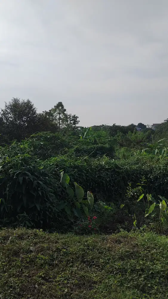 10 Menit Stasiun Bogor Dijual Tanah Kavling Murah Gratis SHM