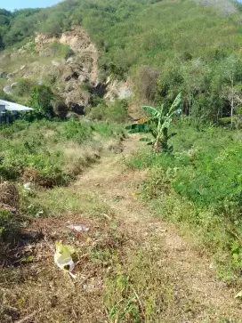 Tanah bukit pinggir jalan