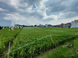 Tanah Kavling 5 Unit Siap Bangun Hunian atau Kost di Solo
