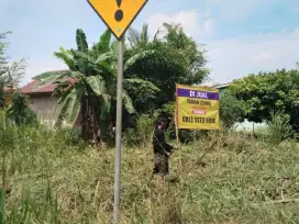 Dijual cepat tanah