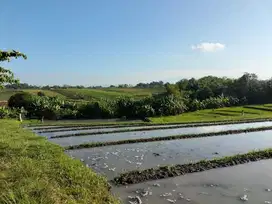 Tanah yeh gangga tabanan bali