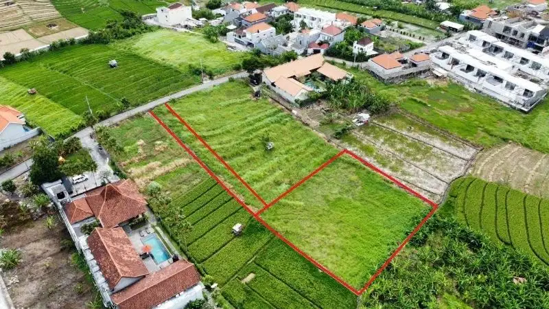 Tanah Murah Jalan Abasan Canggu badung