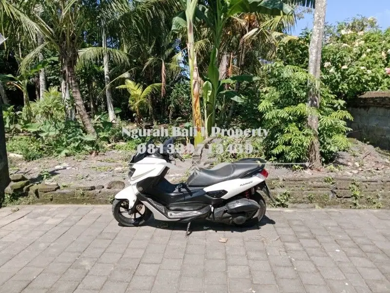 Disewakan Tanah Murah Luas 9 Are di Lodtunduh Ubud