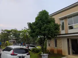 Jual rumah di Gading Serpong Hoek depan kolam renang 118 m2 Thomson!