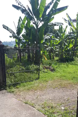 Dijual Tanah lokasi sangat strategis samping jalan Raya Puncak Bogor